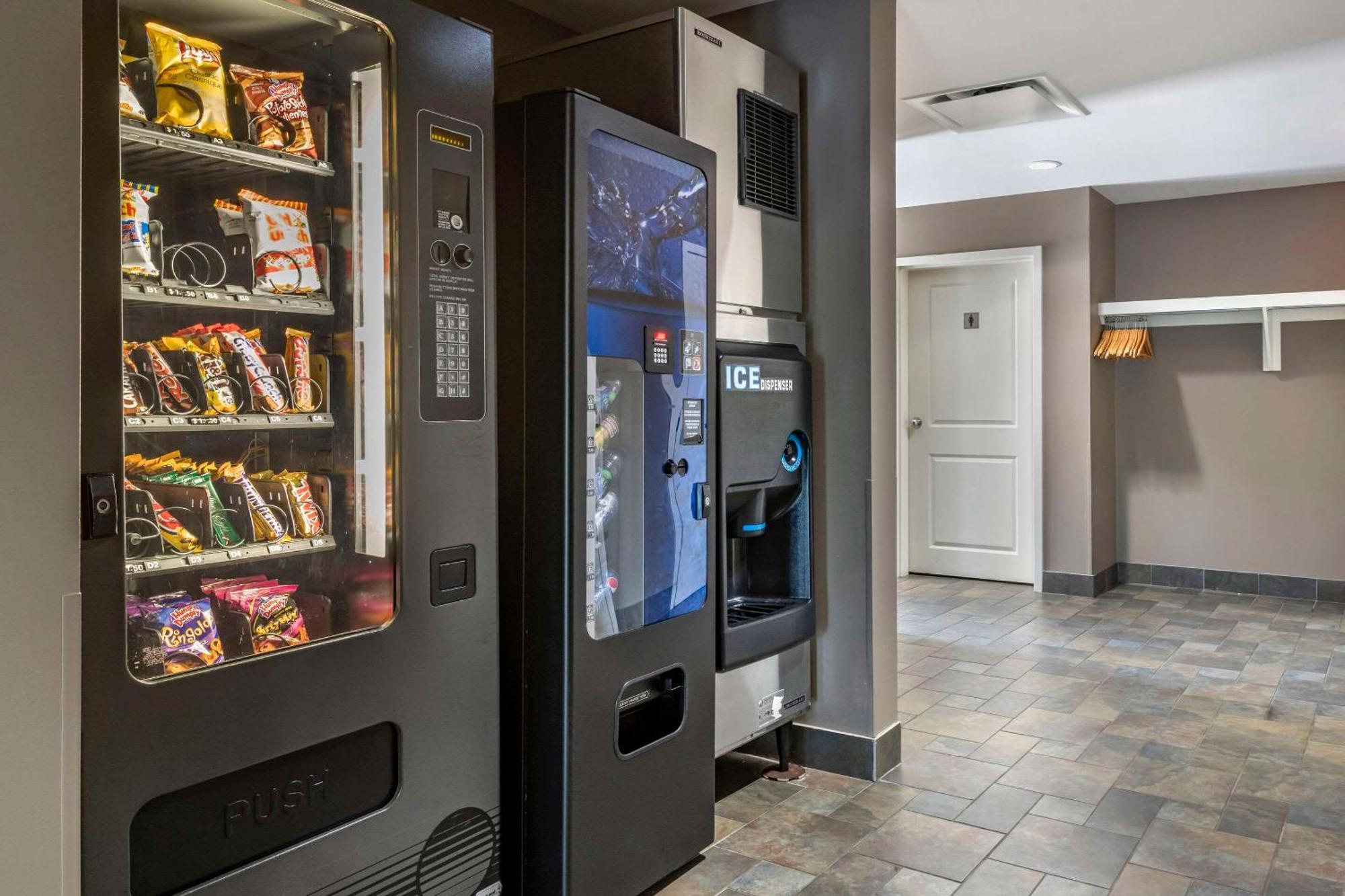 Quality Inn & Suites Quispamsis Rothesay Exteriör bild